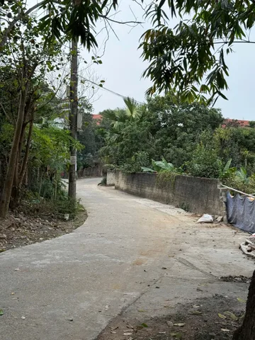 Bất động sản tại Phú Thọ - ảnh 1