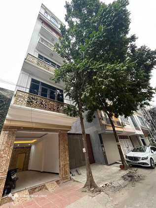 Bất động sản tại Bình Dương - ảnh 1