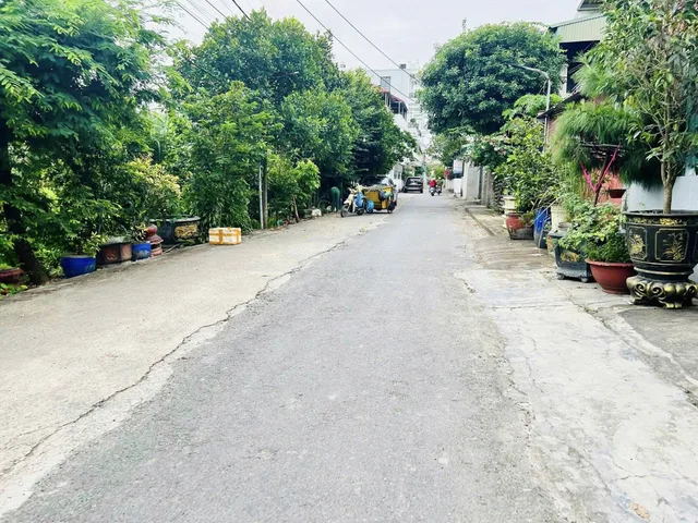Bất động sản tại Hải Phòng - ảnh 1
