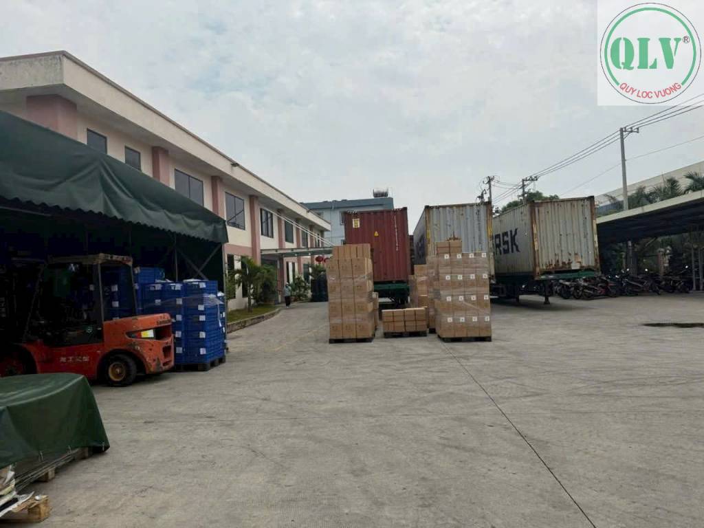 Bất động sản tại Bình Dương - ảnh 1