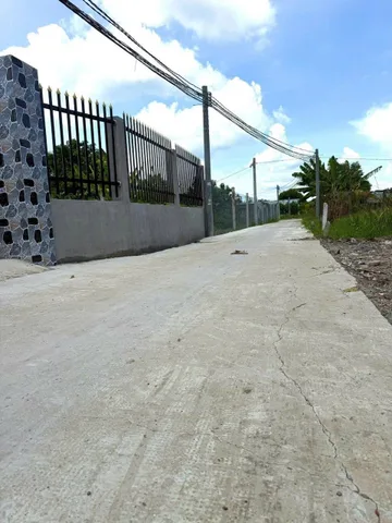 Bất động sản tại Long An - ảnh 1