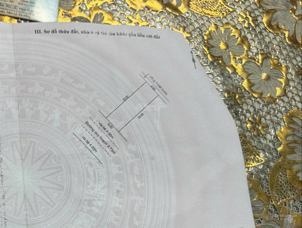 Bất động sản tại Đà Nẵng - ảnh 1