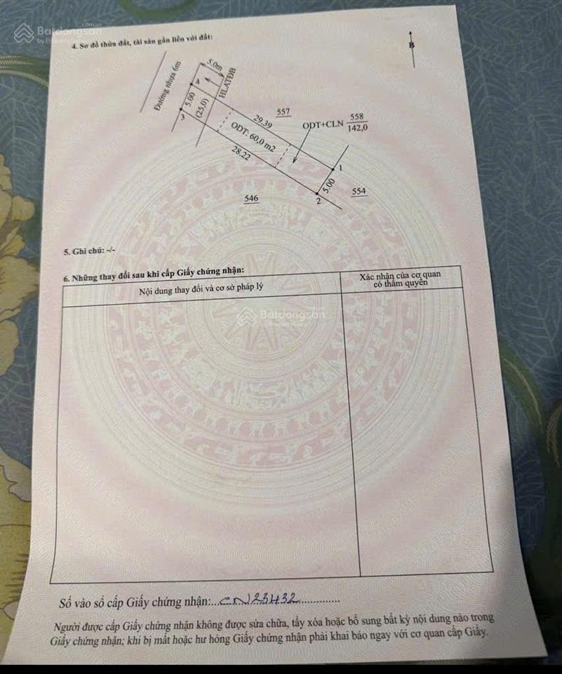 Bất động sản tại Bình Dương - ảnh 1