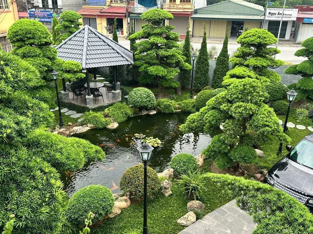 Bất động sản tại Ninh Bình - ảnh 1