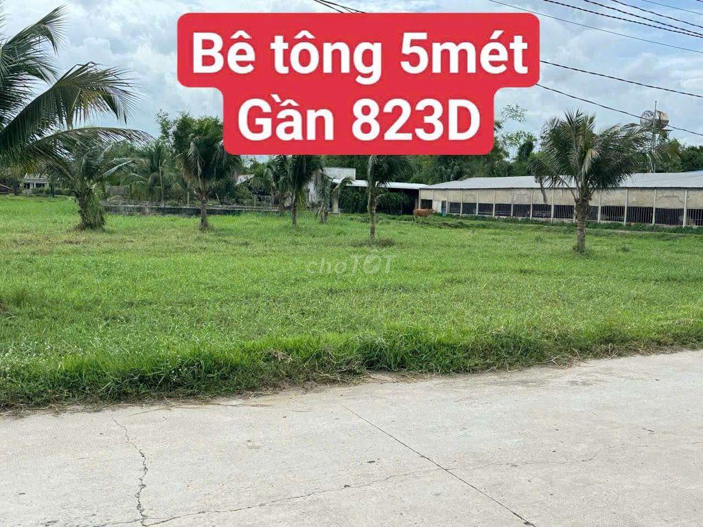Bất động sản tại Long An - ảnh 1