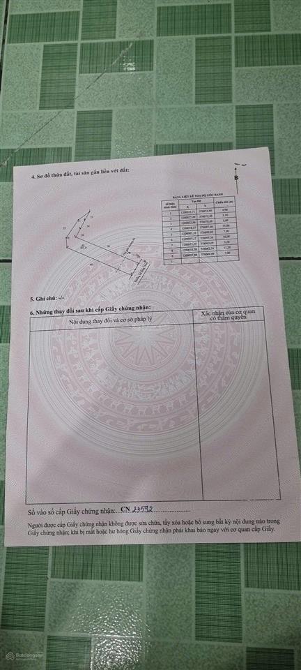 Bất động sản tại Long An - ảnh 1
