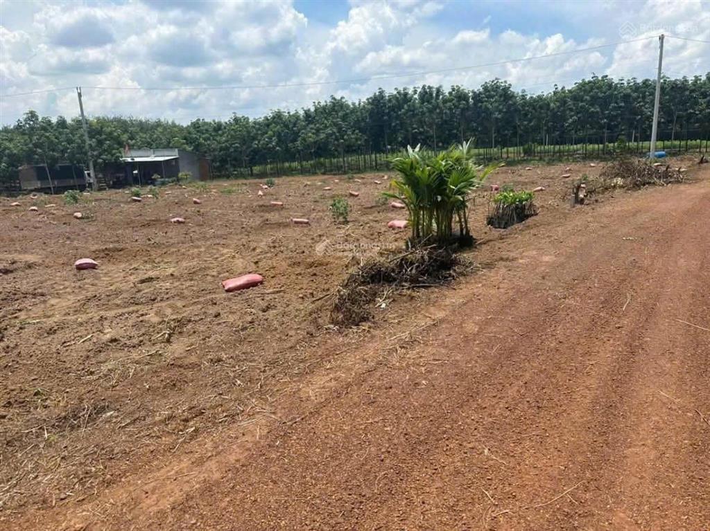 Bất động sản tại Bình Dương - ảnh 1