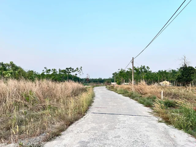 Bất động sản tại Bình Phước - ảnh 1