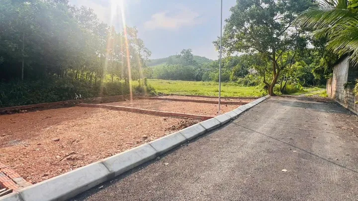 Bất động sản tại Phú Thọ - ảnh 1