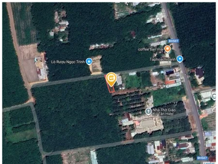 Bất động sản tại Bình Dương - ảnh 1