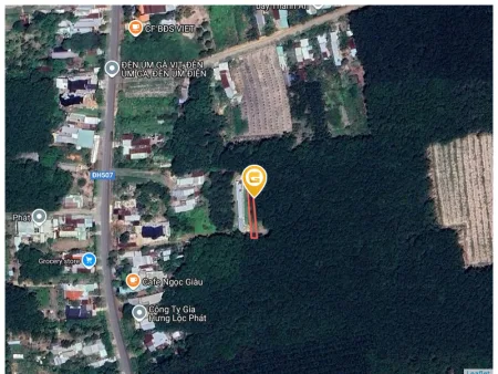 Bất động sản tại Bình Dương - ảnh 1