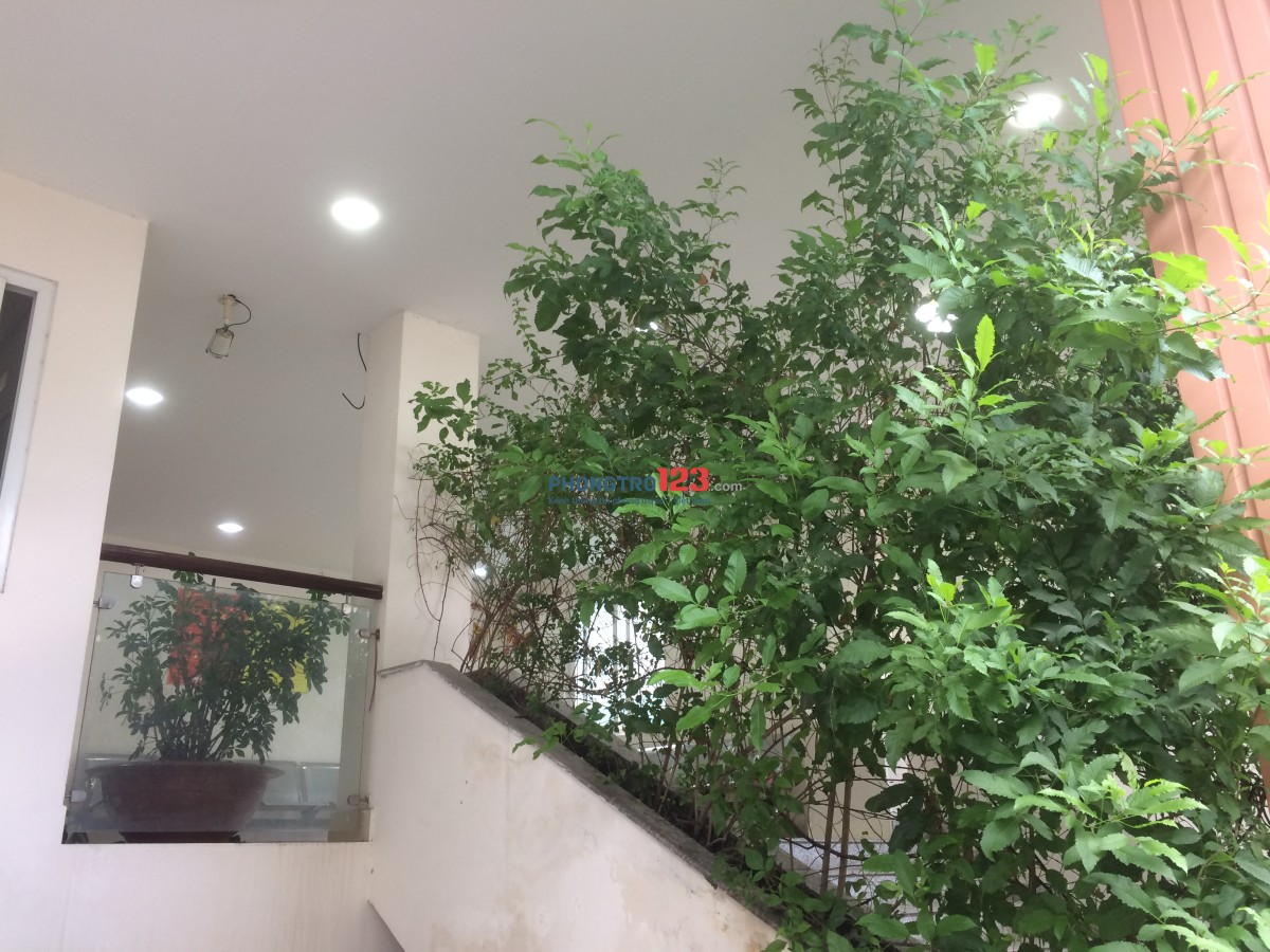 Bất động sản tại TP. Hồ Chí Minh - ảnh 1