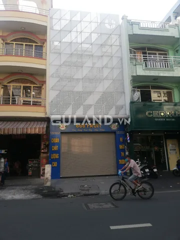 Bất động sản tại TP. Hồ Chí Minh - ảnh 1