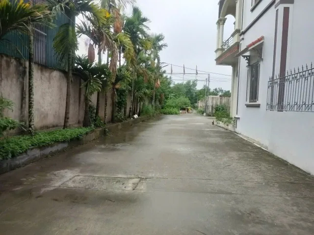 Bất động sản tại Hưng Yên - ảnh 1