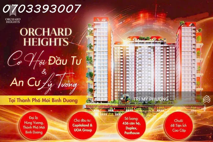 Bất động sản tại Bình Dương - ảnh 1
