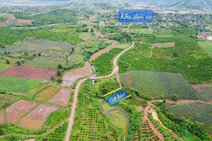 Bất động sản tại Đắk Lắk - ảnh 1