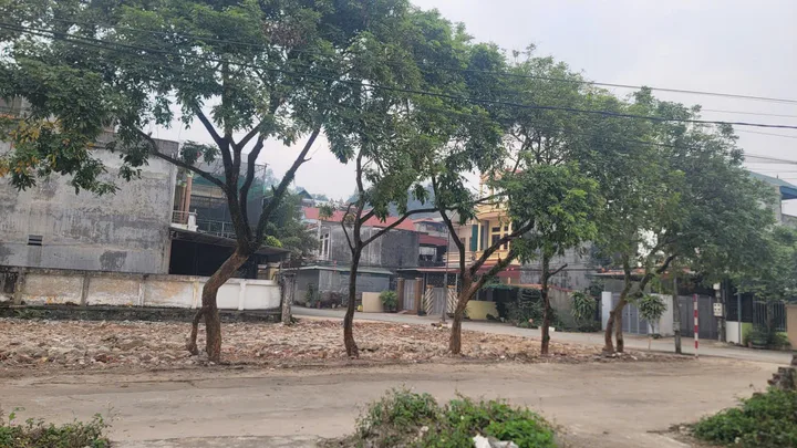 Bất động sản tại Hòa Bình - ảnh 1