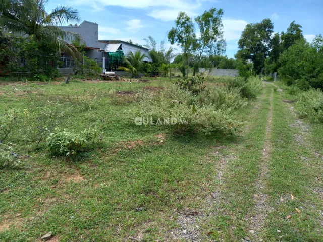 Bất động sản tại Lâm Đồng - ảnh 1