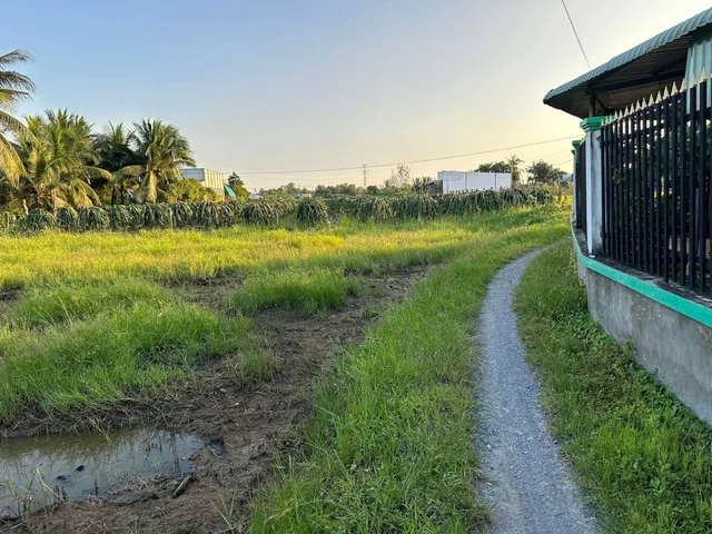 Bất động sản tại Long An - ảnh 1