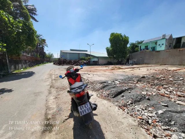 Bất động sản tại Bình Dương - ảnh 1