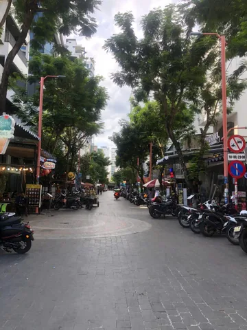 Bất động sản tại Đà Nẵng - ảnh 1