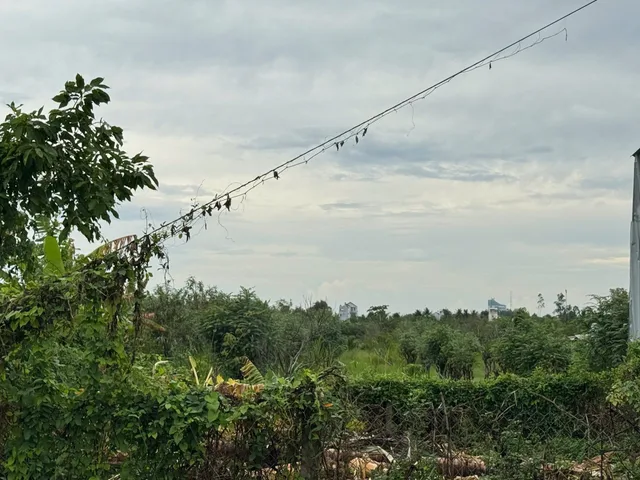 Bất động sản tại Vĩnh Long - ảnh 1