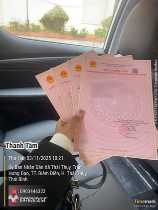 Bất động sản tại Thái Bình - ảnh 1