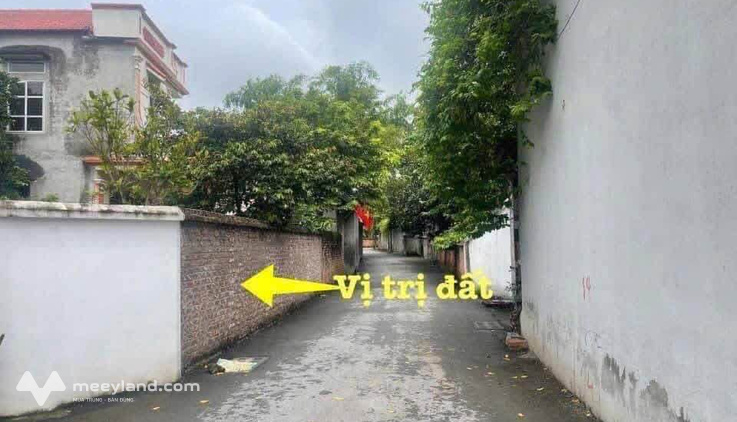 Bất động sản tại Vĩnh Phúc - ảnh 1