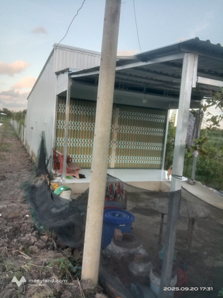 Bất động sản tại Đồng Tháp - ảnh 1