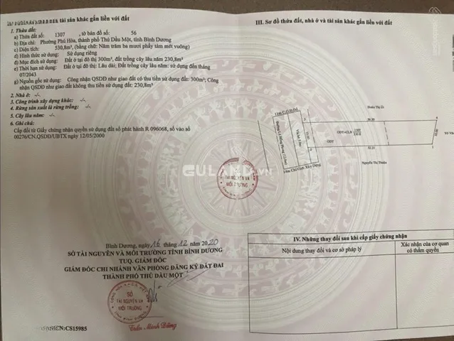 Bất động sản tại Bình Dương - ảnh 1