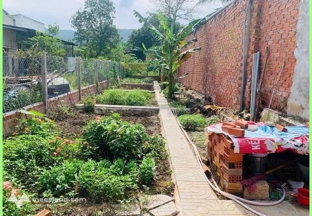 Bất động sản tại Bà Rịa - Vũng Tàu - ảnh 1
