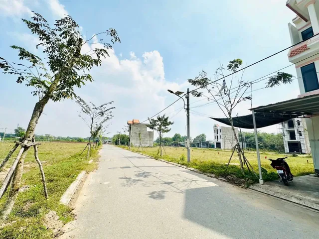 Bất động sản tại Đồng Nai - ảnh 1