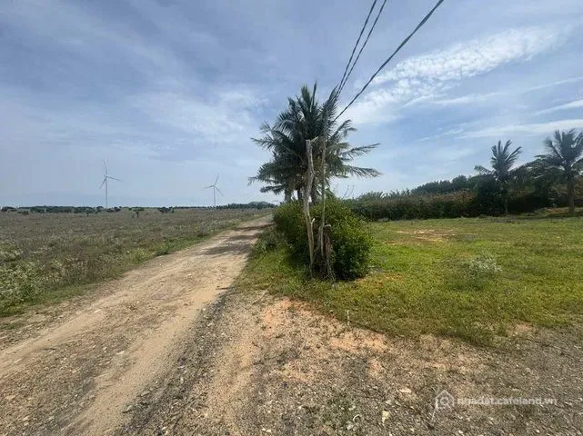 Bất động sản tại Bình Thuận - ảnh 1