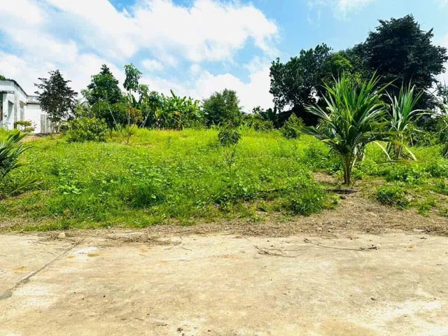 Bất động sản tại Khánh Hòa - ảnh 1