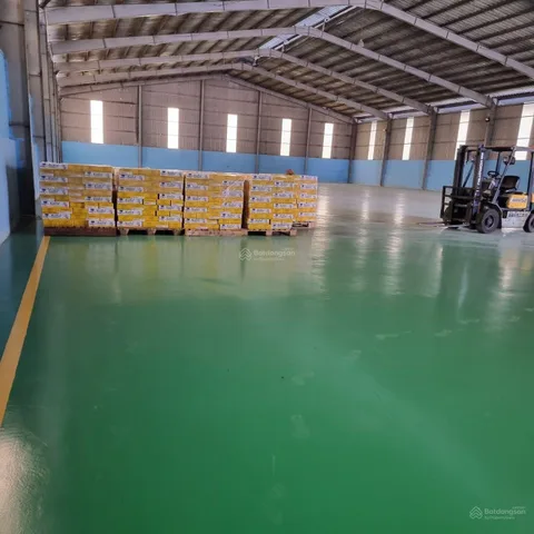 Bất động sản tại Bình Dương - ảnh 1