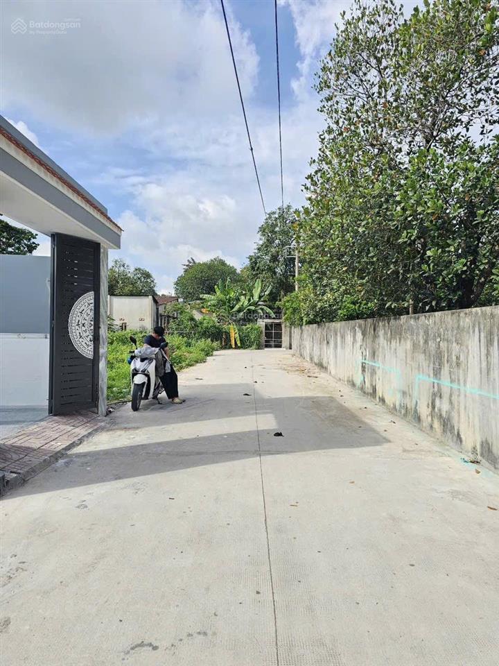 Bất động sản tại Bình Dương - ảnh 1