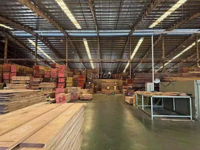 Bất động sản tại Bình Dương - ảnh 1