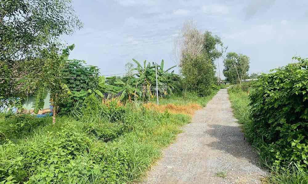 Bất động sản tại Quảng Nam - ảnh 1