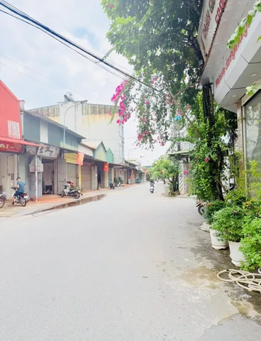 Bất động sản tại Bắc Ninh - ảnh 1