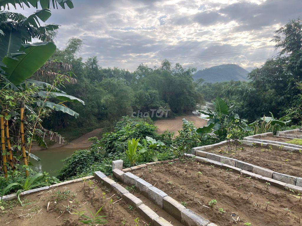 Bất động sản tại Đà Nẵng - ảnh 1