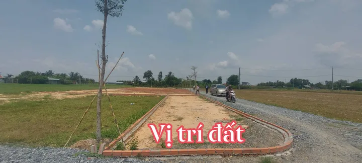 Bất động sản tại Long An - ảnh 1