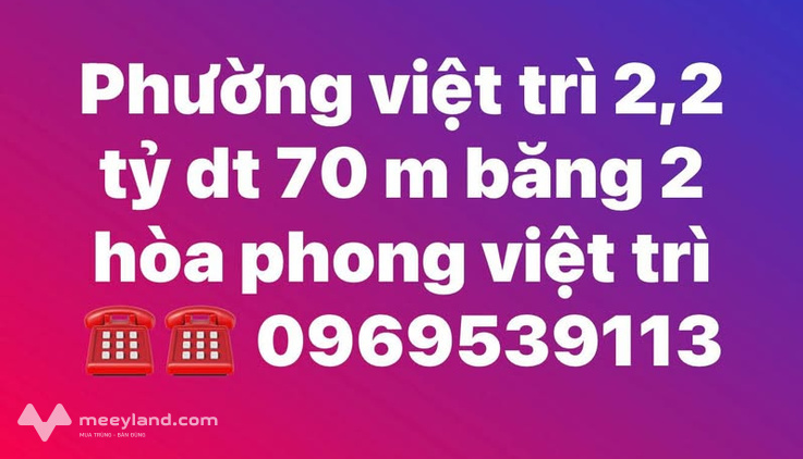 Bất động sản tại Phú Thọ - ảnh 1