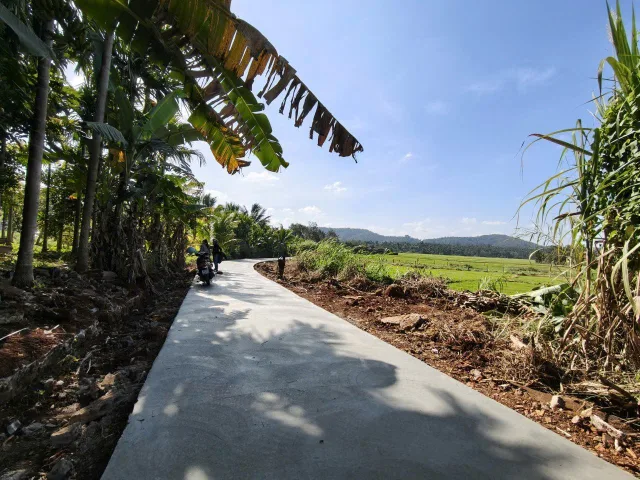 Bất động sản tại Đắk Lắk - ảnh 1