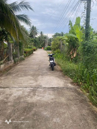 Bất động sản tại Bến Tre - ảnh 1