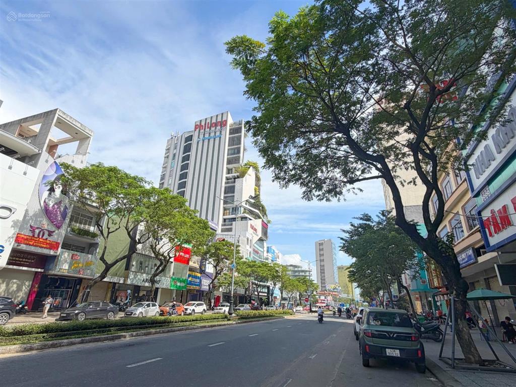 Bất động sản tại Đà Nẵng - ảnh 1