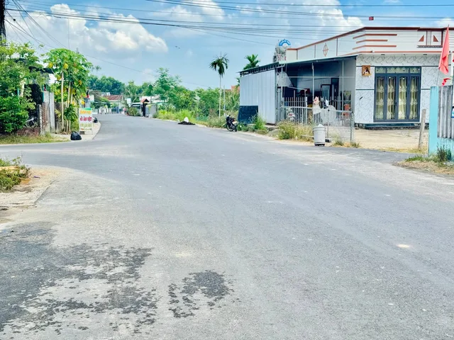Bất động sản tại Đà Nẵng - ảnh 1