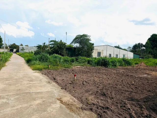 Bất động sản tại Đồng Nai - ảnh 1