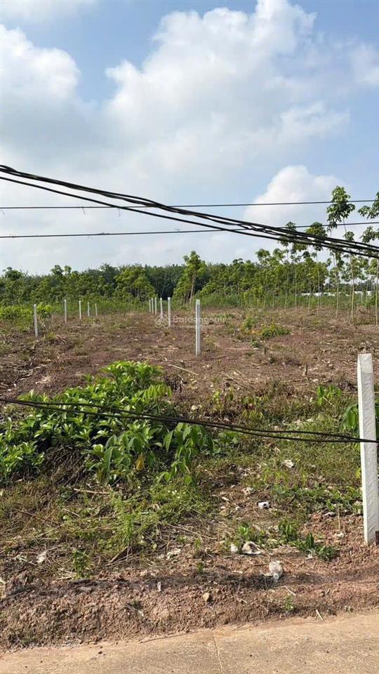 Bất động sản tại Bình Dương - ảnh 1
