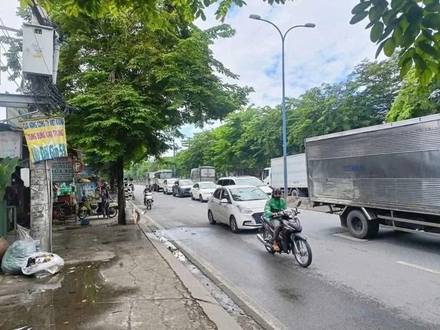 Bất động sản tại TP. Hồ Chí Minh - ảnh 1