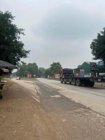 Bất động sản tại Phú Thọ - ảnh 1